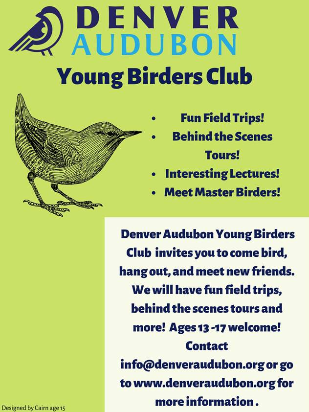 Young Birders Club poster